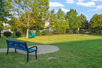 Two dog parks